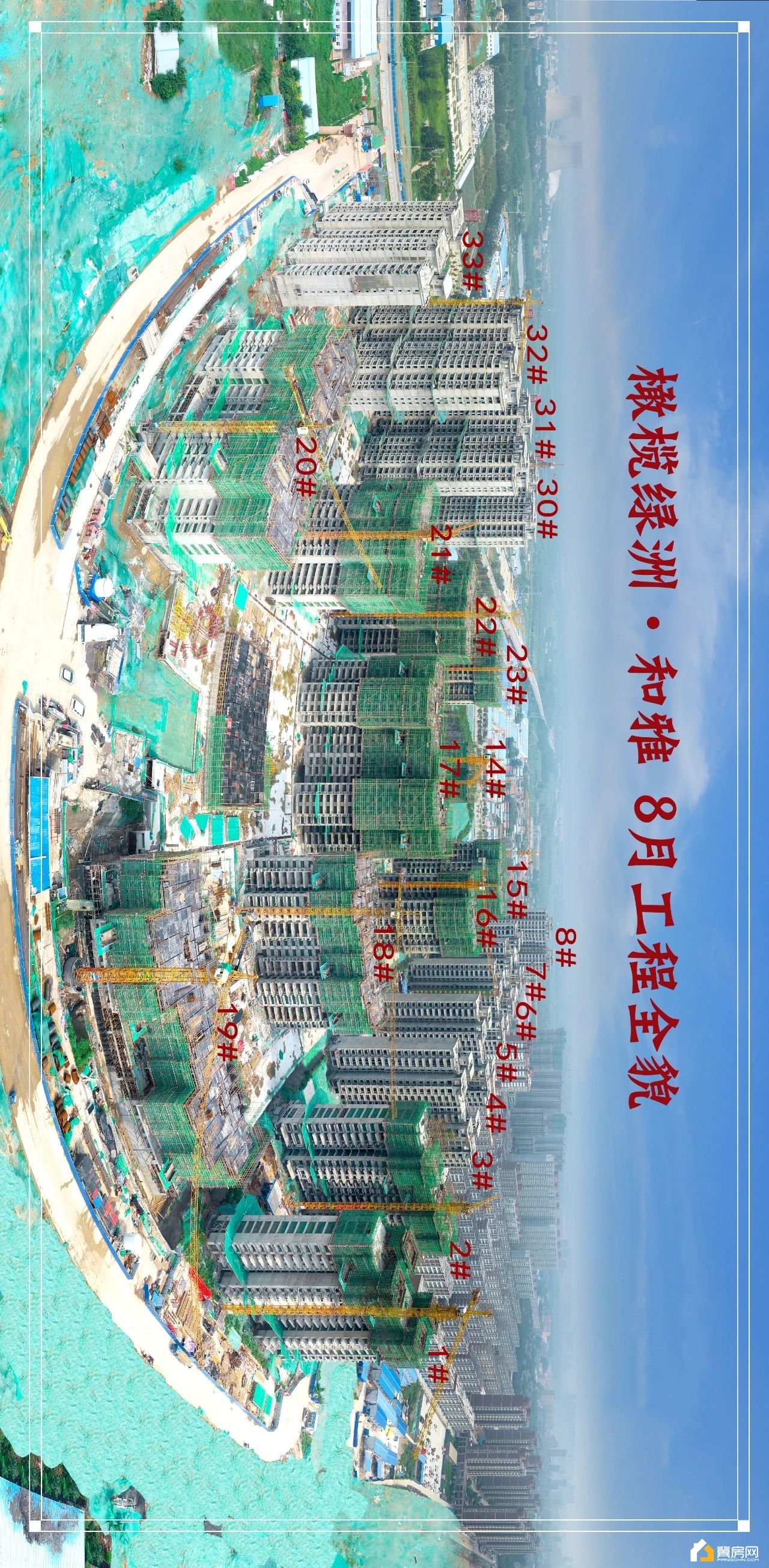 橄榄绿洲8月.jpg